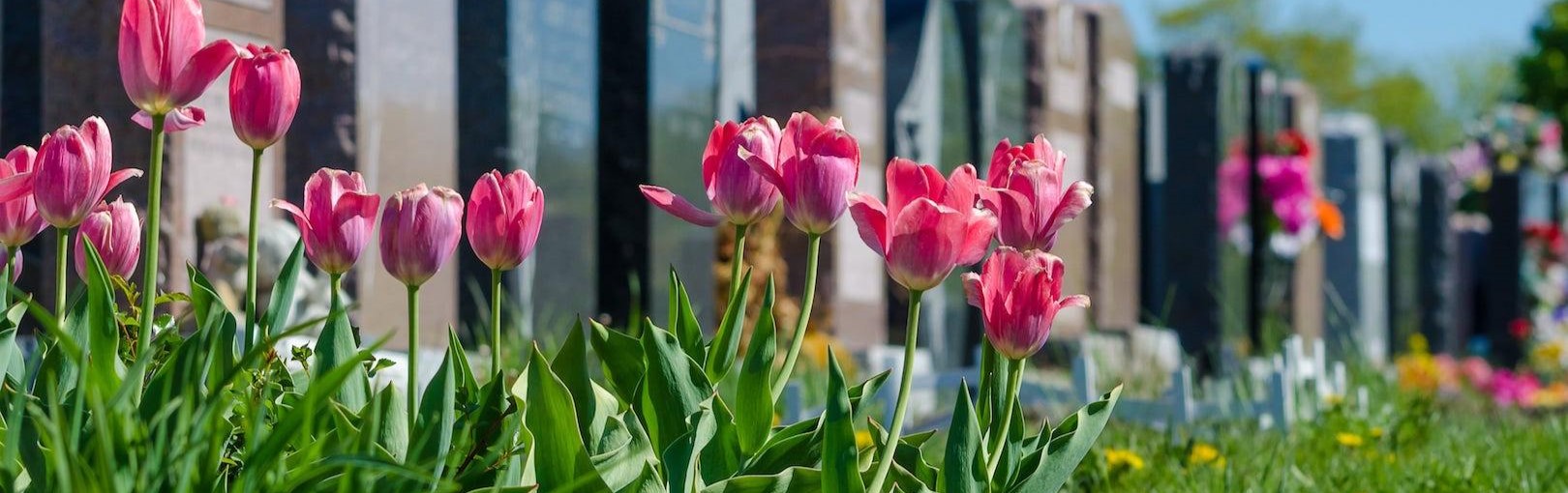 fleurs-cimetiere